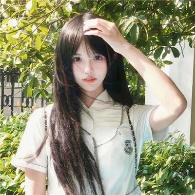 菩提树